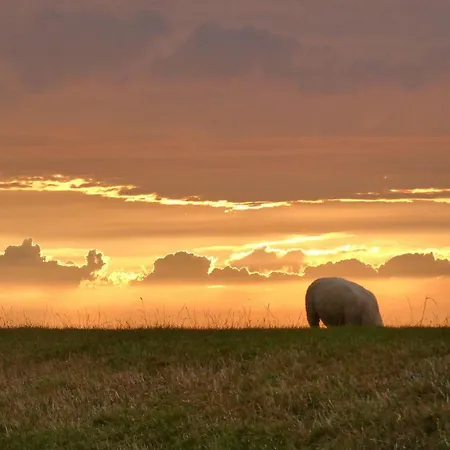 Ostfreesenstuv 비트문드